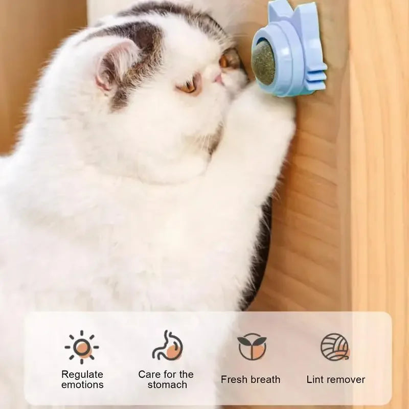Jouet Herbe à Chat